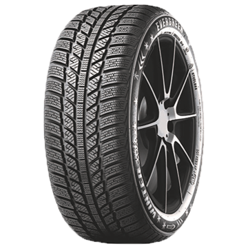 EVERGREEN EW 62 195/65R15 91T