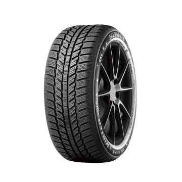 EVERGREEN EW62 XL 195/45R16 84H